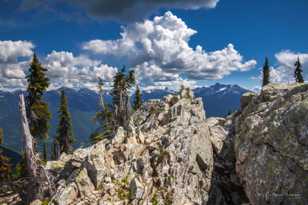 Meadows in the Sky-0551.jpg